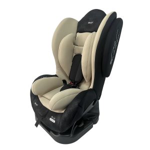 SILLA DE AUTO - TERRA EB577